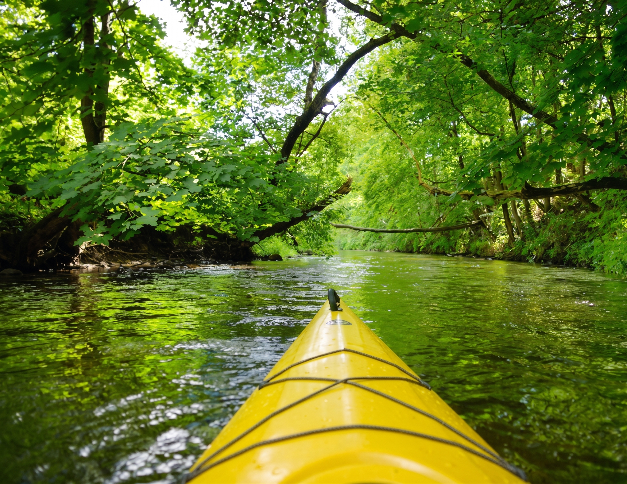 Kanu auf ruhigem Fluss