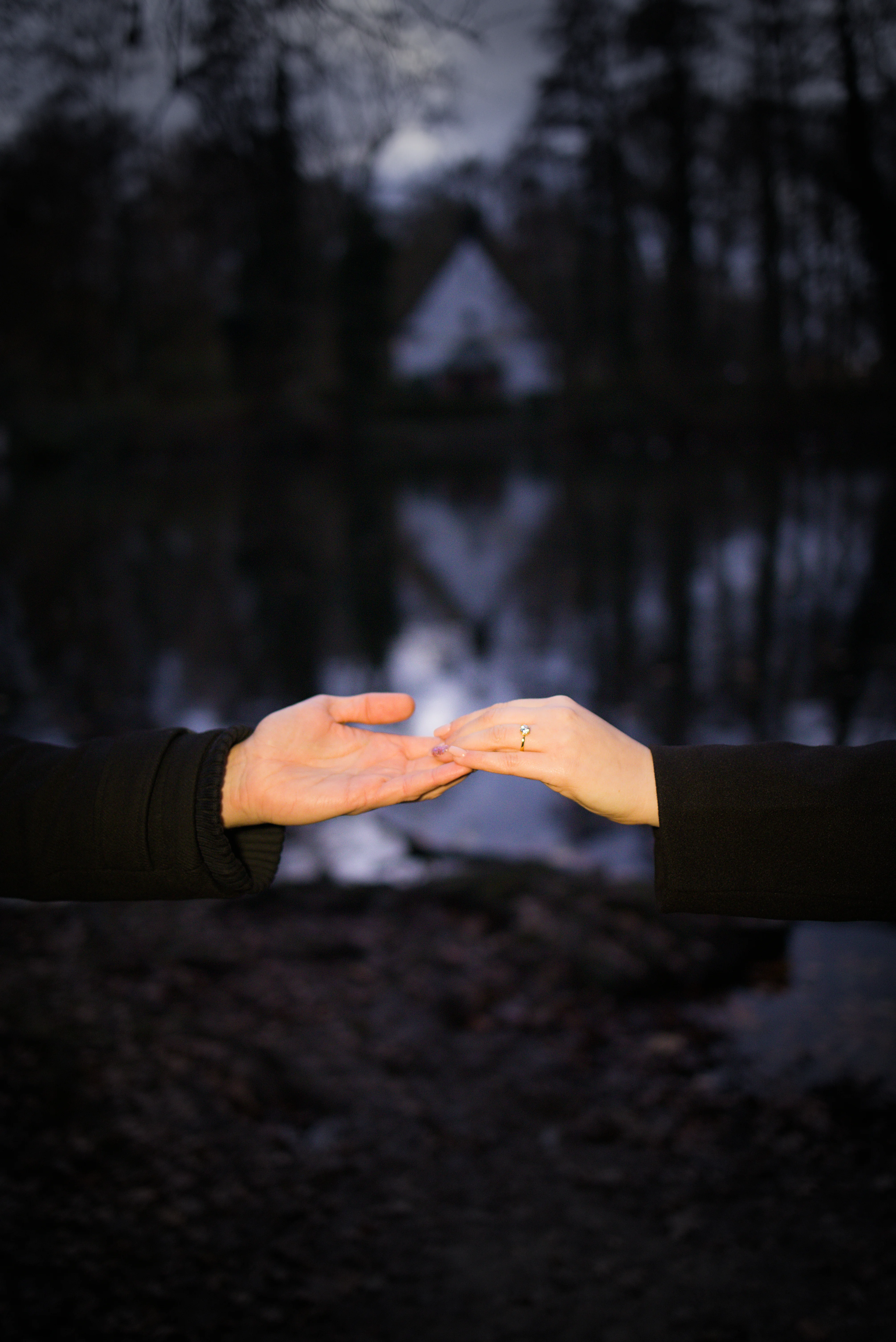 Heiratsantrag mit Fotografie